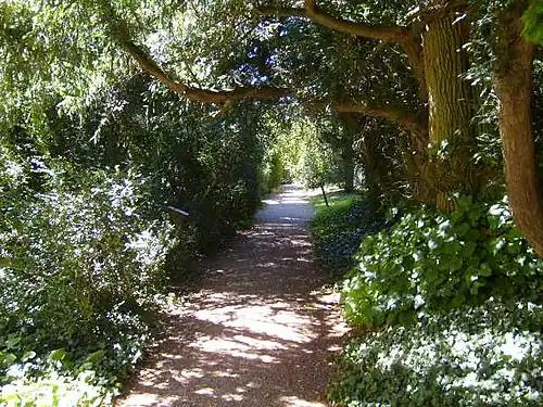 Le sentier du parc à l'anglaise.