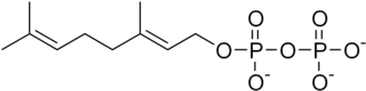 Image illustrative de l’article Pyrophosphate de géranyle