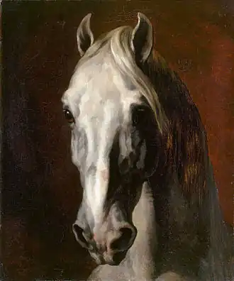 Tête de cheval blanc (1815), Paris, musée du Louvre.