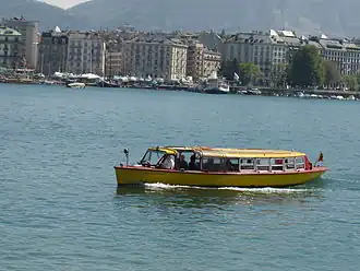 Image illustrative de l’article Mouettes genevoises