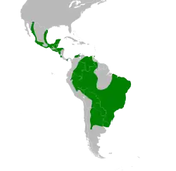 Carte des Amériques avec certaines zones coloriées en vert