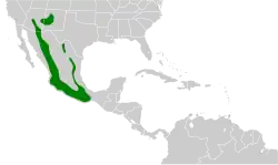 Carte de l'Amérique Centrale avec certaines zones coloriées en vert