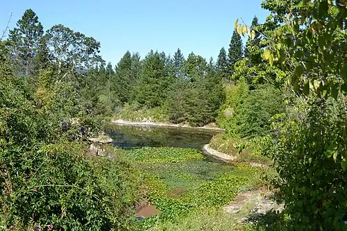 Vue du jardin botanique Quarryhill.