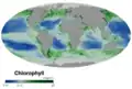 carte mondiale de concentration des océans en chlorophylle marine, en milligramme par mètre cube d'eau de mer (2019) ;