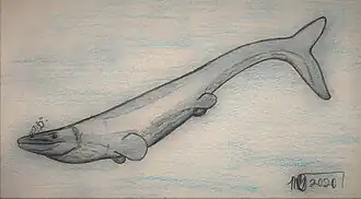 Description de l'image Gnathomortis stadtmani.jpg.