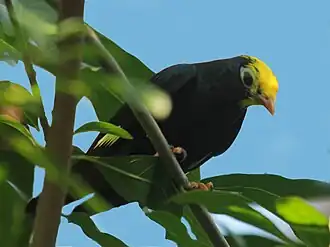 Description de cette image, également commentée ci-après
