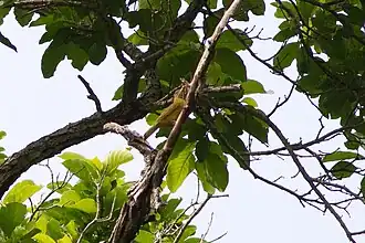 Description de cette image, également commentée ci-après