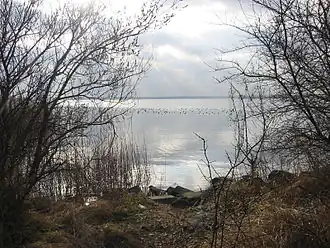 Image illustrative de l’article Gooimeer