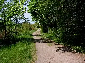 Vieille route du Göta à Årstafältet.