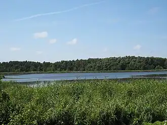 Image illustrative de l’article Gothensee