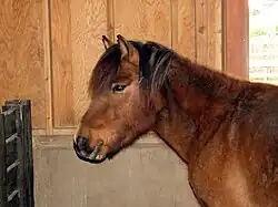 description en légende