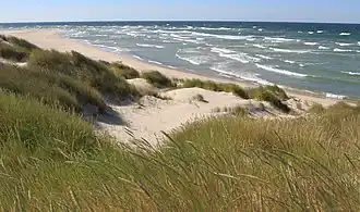 Plage de Gotska Sandön