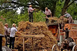 Battage à l'ancienne