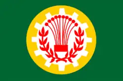 Drapeau de Mansourah