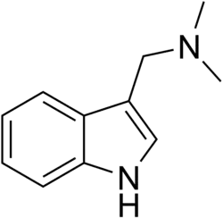 Image illustrative de l’article Gramine