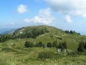 Le Grand Crêt vu depuis le crêt de la Neige.