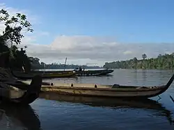 Vue du fleuve Maroni (Lawa) depuis Grand Santi.