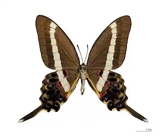 Description de cette image, également commentée ci-après