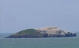 Vue de Grassholm. Sur la droite de l'île, se trouvent les fous de Bassan.