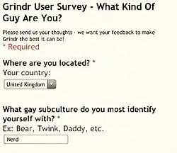 Capture d'écran. Grinder User survey - What Kind Of Guy Are You ? Please send us your thoughts : we want your feedback to make Grindr the best it can be! Where are your located ? Your country: United Kingdom. What gay subculture do you most identify yourself with? Ex: Bear, Twink, Daddy, etc. Answer: Nerd