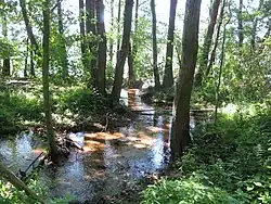Parc naturel Dahme-Heideseen (de) en Brandebourg (Allemagne), 2013