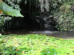 La grotte Teanateatea de Maraa.