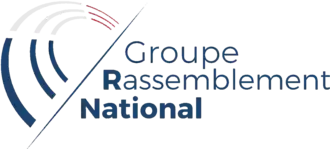 Image illustrative de l’article Groupe Rassemblement national