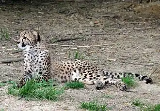 Description de cette image, également commentée ci-après