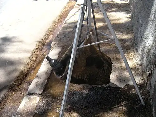 alternative textuelle