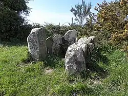 Image illustrative de l’article Lit de Saint-Jean (Guimaëc)