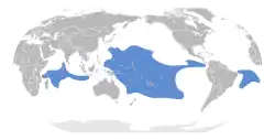 Carte du monde montrant la répartition de l'espèce dans les trois océans