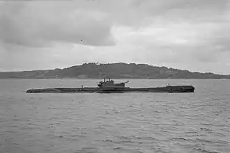 illustration de HMS Tigris (N63)