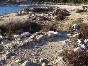 Vestiges d'habitations sur la partie sud du site de l'Arquet.