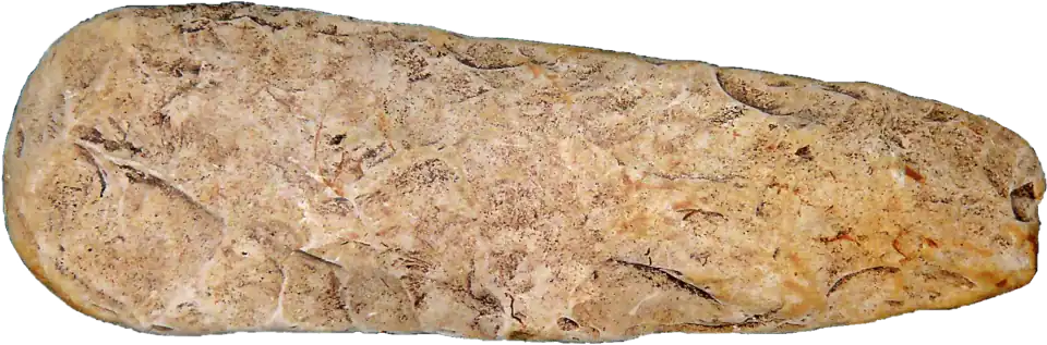 Hache partiellement polie : la phase de façonnage est encore perceptible.