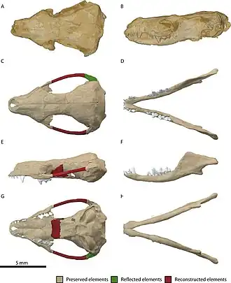 Description de cette image, également commentée ci-après