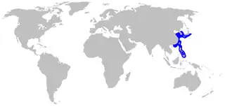 Description de l'image Halaelurus_burgeri_distmap.png.