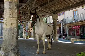 Halle (XIVe&nbsp;siècle).