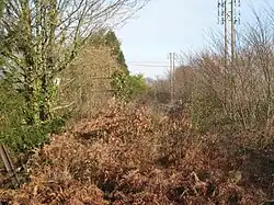 Vue de la voie ferrée abandonnée, avant les travaux pour la réouverture.