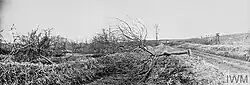 Vue du village détruit et des arbres coupés en septembre 1918.