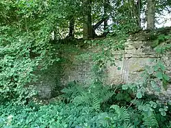 Ruines de la fontaine de Saucenot.
