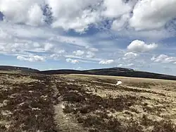 Hautes Chaumes du Forez au printemps.