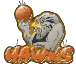 Logo du Hawke's Bay Hawks