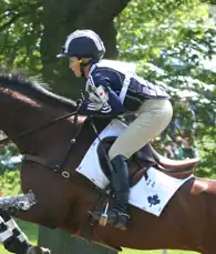 Image illustrative de l’article Hawley Bennett-Awad