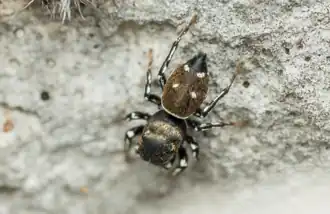 Description de cette image, également commentée ci-après