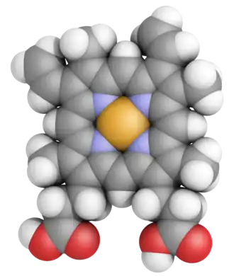 Hème, groupe prosthétique des hémoprotéines.