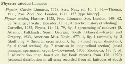 Page 116 dans Hershkovitz (1966).