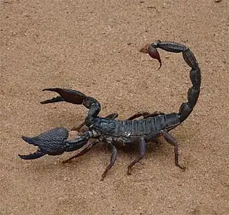 Description de cette image, également commentée ci-après