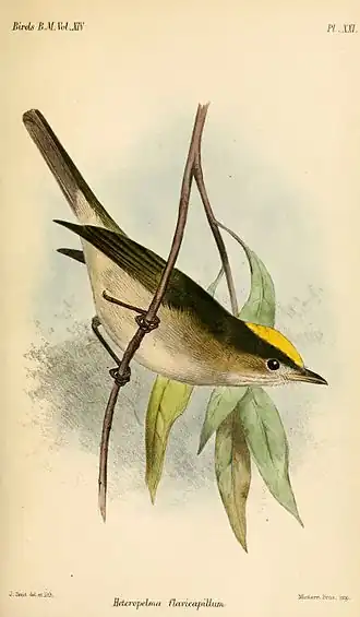 Description de cette image, également commentée ci-après