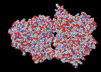 Image illustrative de l’article Hexokinase