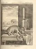 L'Hippopotame, édition de Leipzig, 1767.